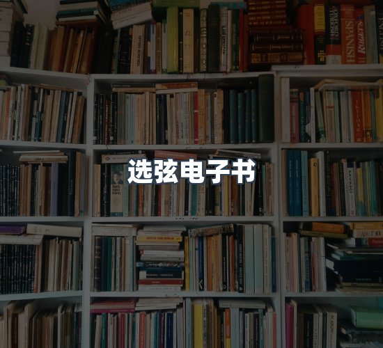 关于选弦电子书